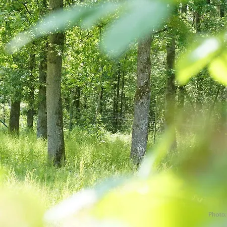 Bed & Breakfast Le Jardin Des Biches Somme-Leuze